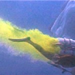 Thunderball - Underwater propulsion backpack